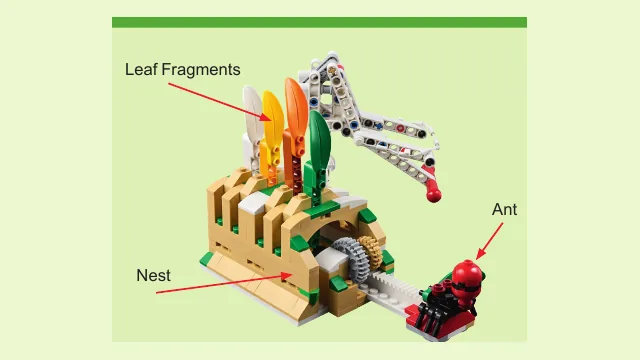 Leafcutter Frenzy mission model