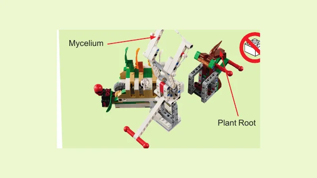 Humongous Fungus mission model
