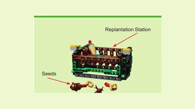 Seeds of Renewal replantation station